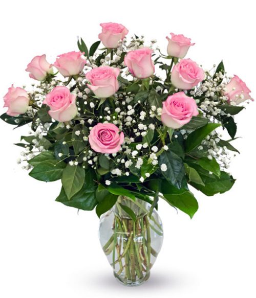 Dozen Pink Roses